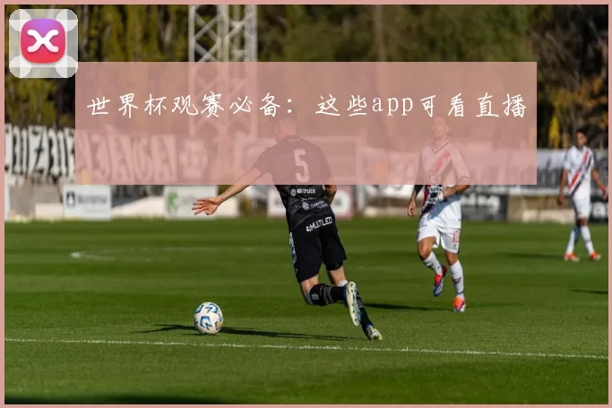 世界杯观赛必备：这些app可看直播