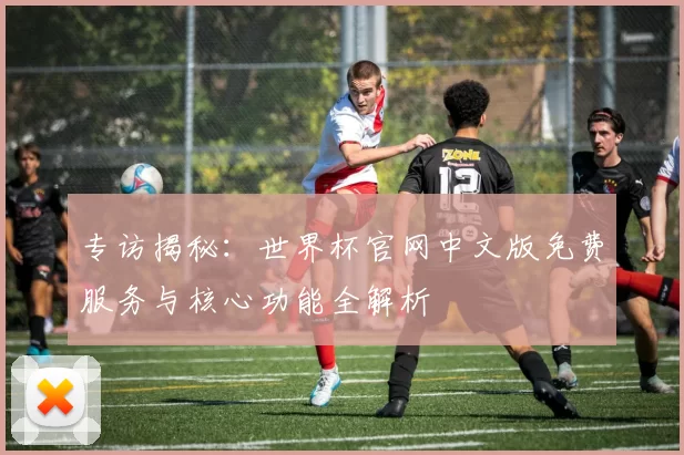 专访揭秘:世界杯官网中文版免费服务与核心功能全解析