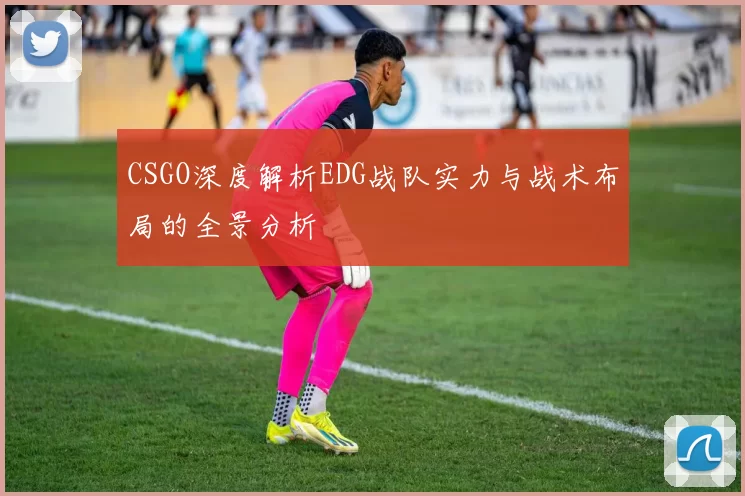 CSGO深度解析EDG战队实力与战术布局的全景分析