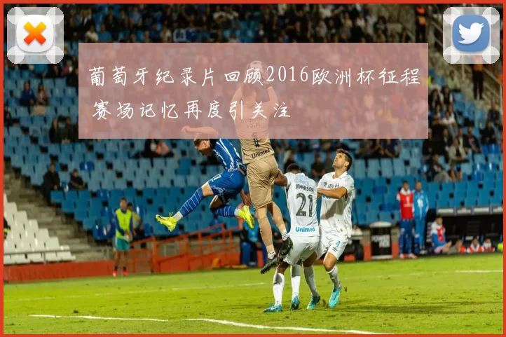 葡萄牙纪录片回顾2016欧洲杯征程 赛场记忆再度引关注