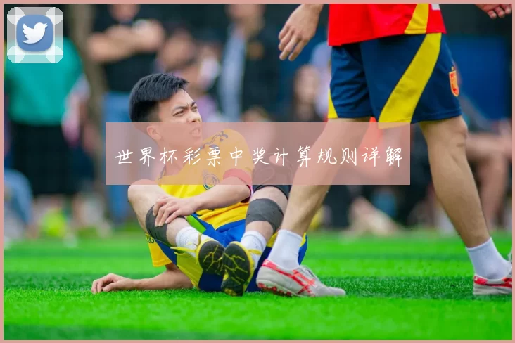 世界杯彩票中奖计算规则详解