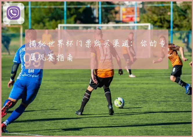 揭秘世界杯门票购买渠道:你的专属观赛指南
