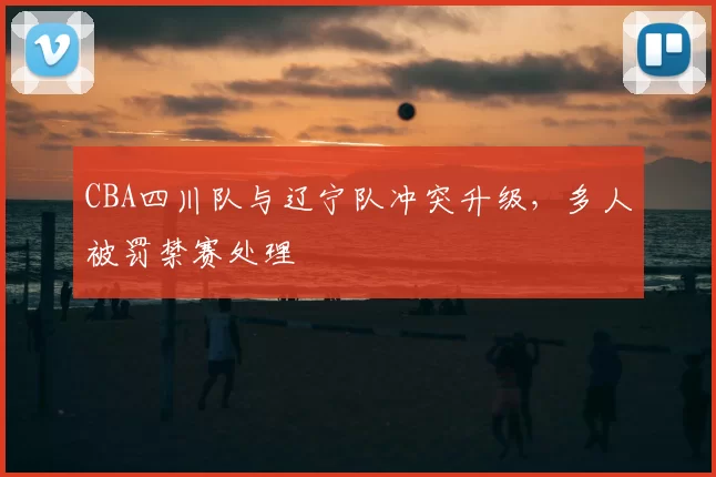 CBA四川队与辽宁队冲突升级，多人被罚禁赛处理