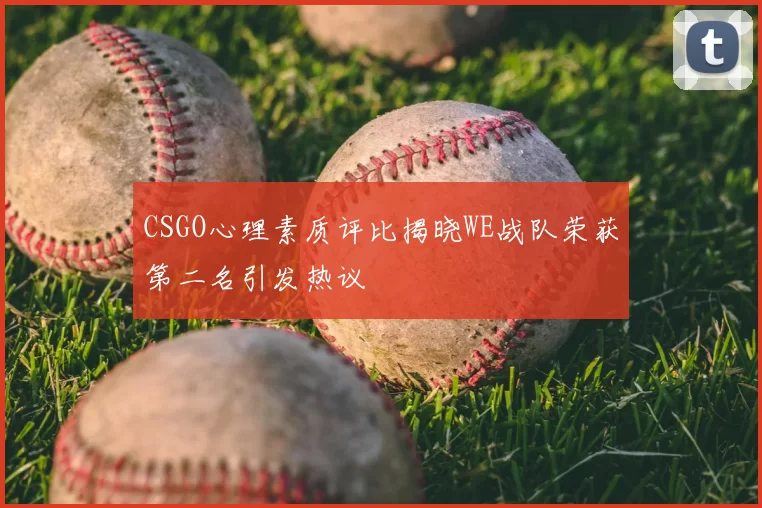 CSGO心理素质评比揭晓WE战队荣获第二名引发热议